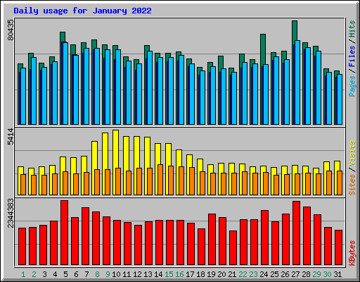 Daily usage for January 2022