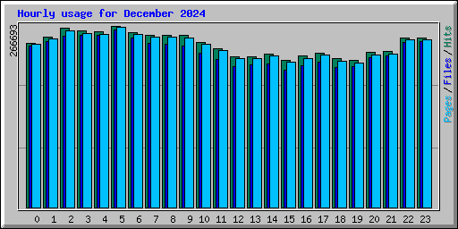 Hourly usage for December 2024