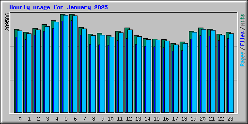 Hourly usage for January 2025
